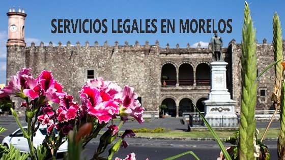 trabajo remoto jurídico en Morelos