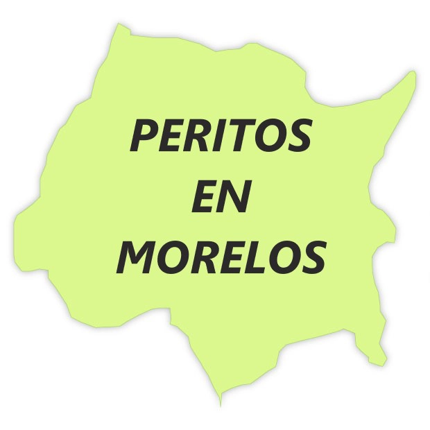 peritos en morelos